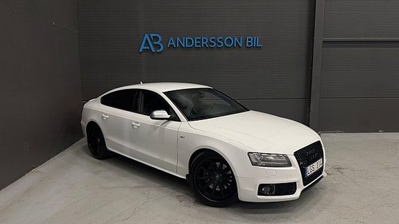 Audi S5 3.0 TFSI V6 Rohana RC10 Navi Milltek Kamera