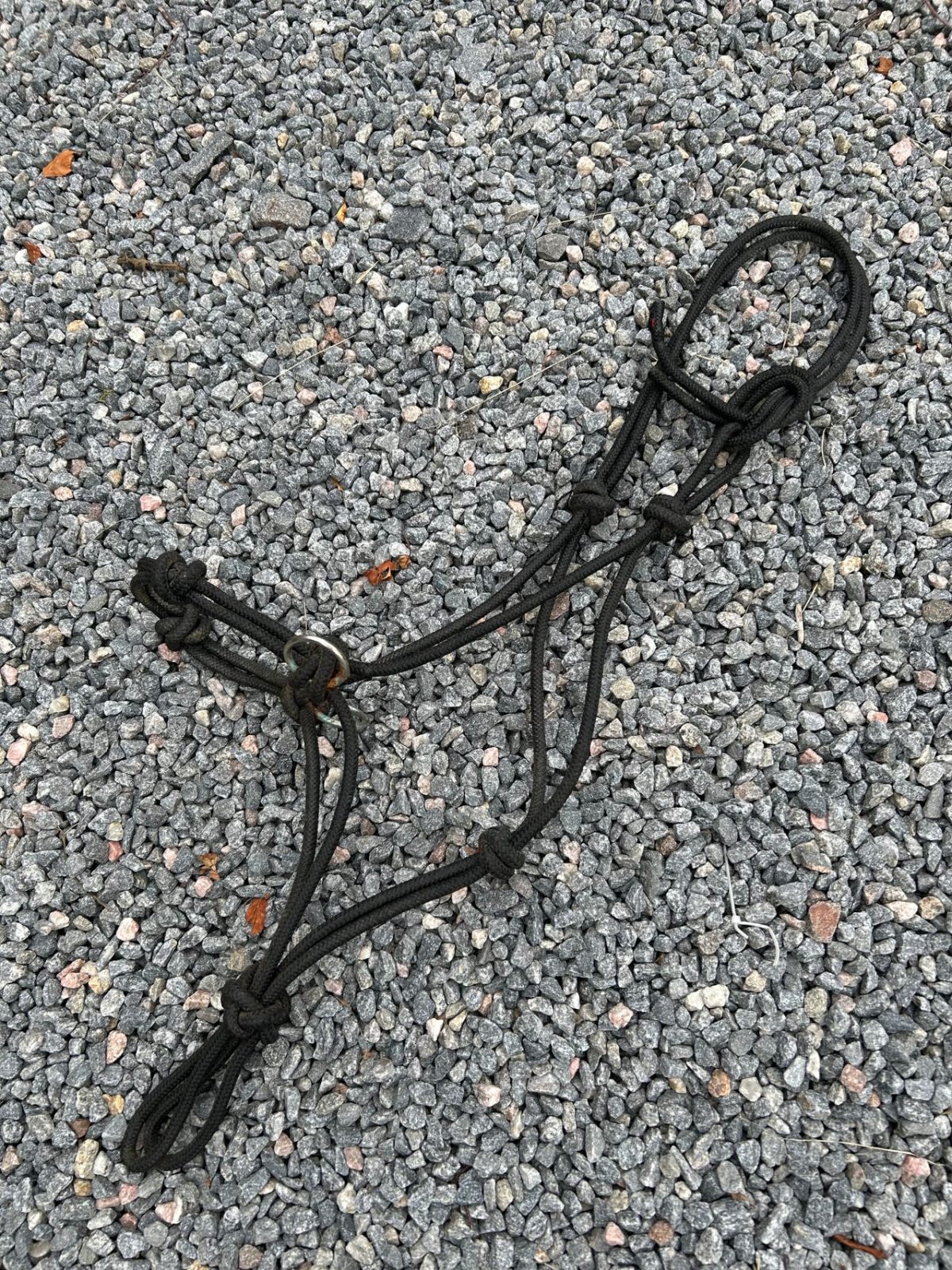 Repgrimma svart till häst