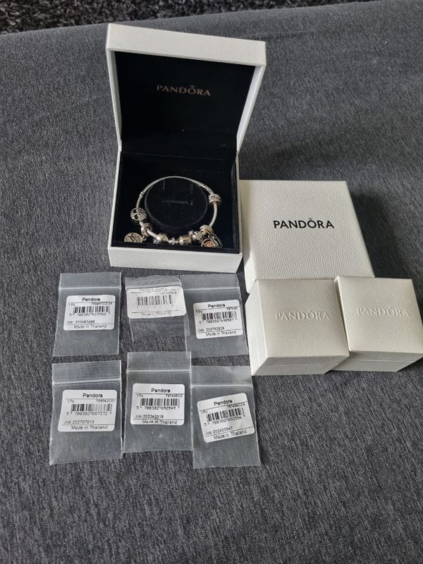 Komplett Pandora Moments armbandsset med boxar