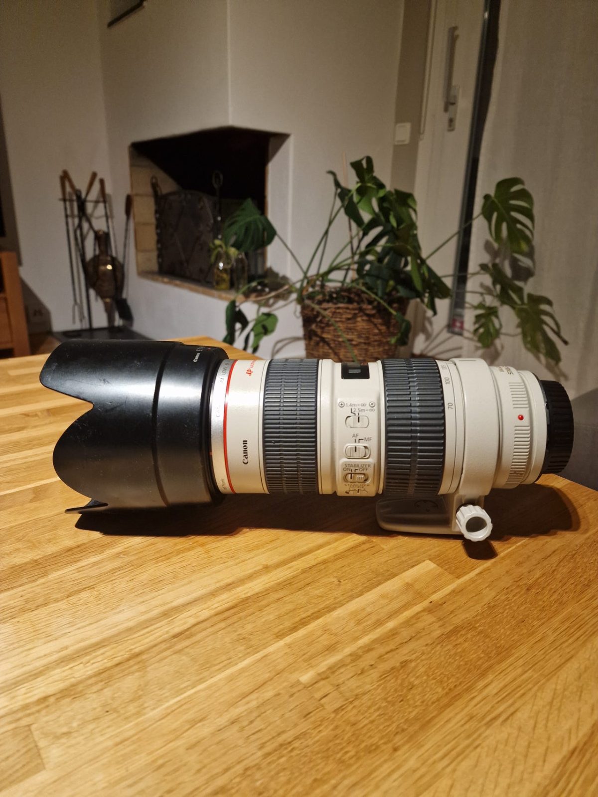 Canon EF 70-200 f/2.8 L IS USM