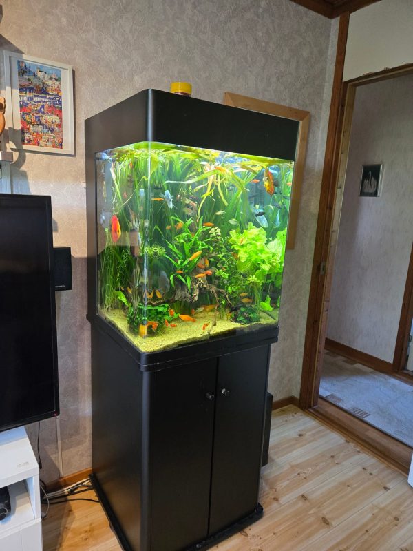 Möbel akvarium Oceanson infinity 260 iiter