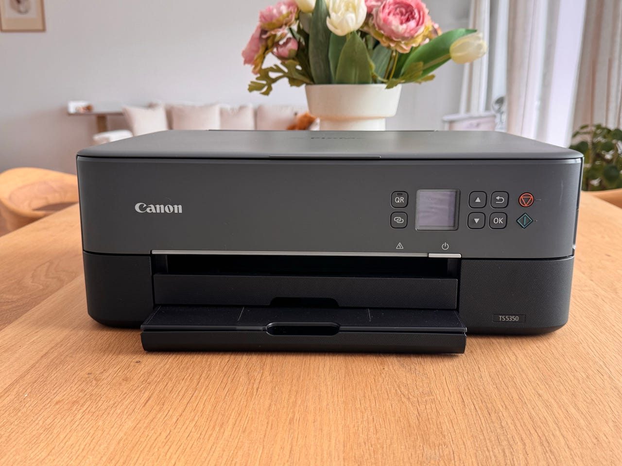 Canon TS5350 skrivare multifunktion svart