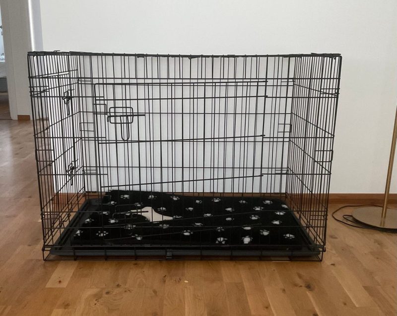 Hundbur metall med dyna svart