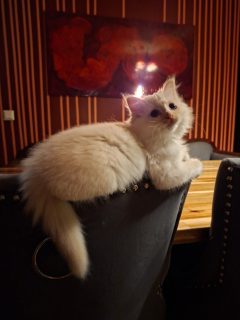 Bild 2