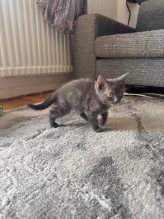 Bild 4