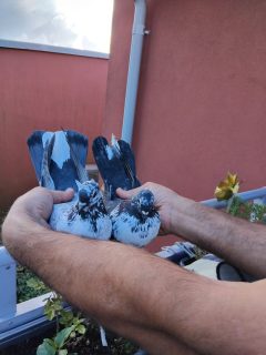Bild 2